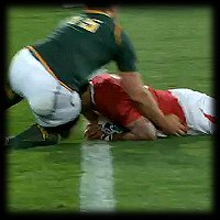 South Africa v Wales Toby Faletau 